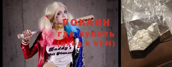 стаф Алексин