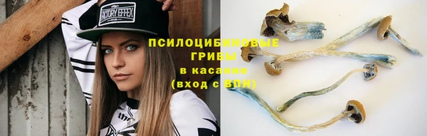 прущая мука Алексеевка